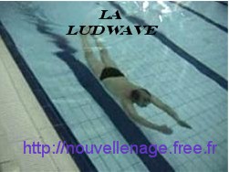 Le forum de la Ludwave
